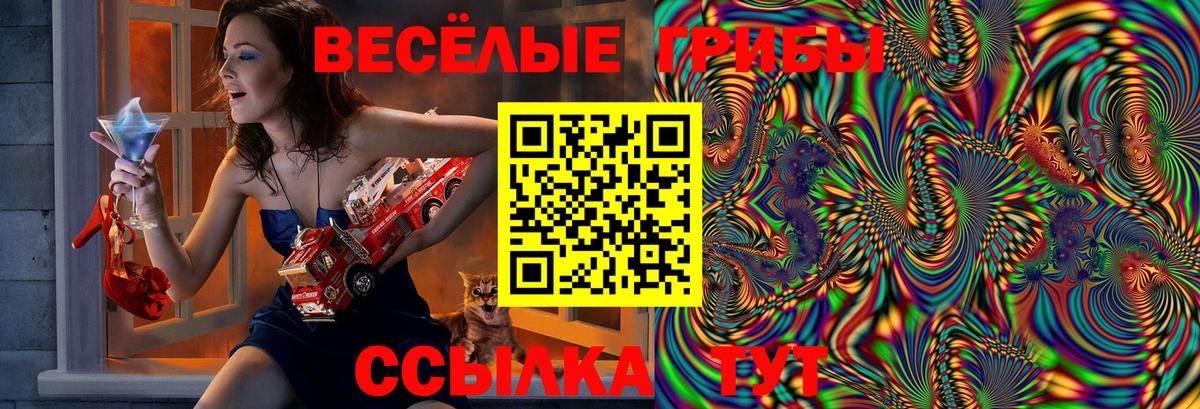 Гурьевск  Галлюциногенные грибы MAGIC MUSHROOMS  Псилоцибиновые грибы Psilocybine cubensis  Вход с VPN 