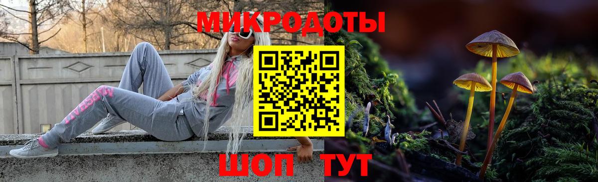 Галлюциногенные грибы Psilocybine cubensis Гурьевск